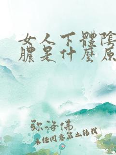 女人下体阴道出脓是什么原因