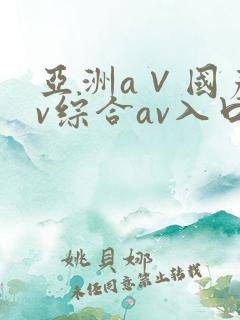 亚洲a∨国产av综合av入口