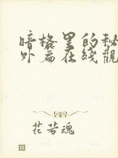 暗格里的秘密番外篇在线观看