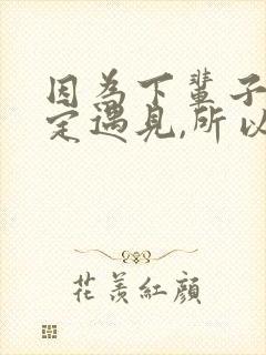 因为下辈子不一定遇见,所以我今生歌词