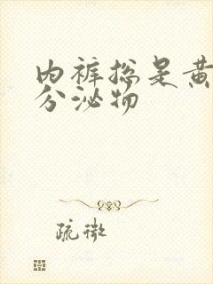 内裤总是黄色的分泌物