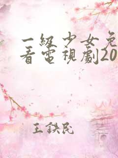 一级少女免费观看电视剧2006年