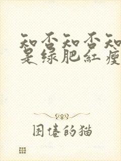 知否知否知否应是绿肥红瘦免费观看