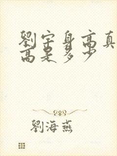 刘宇身高真实身高是多少