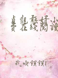 贞观憨婿小说免费在线阅读完整版