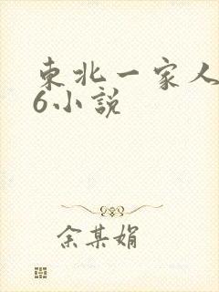 东北一家人1一6小说