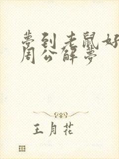 梦到老鼠好不好周公解梦