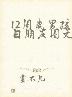 12周岁男孩生日朋友圈文案