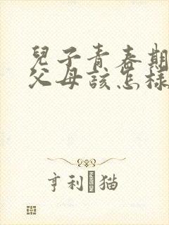 儿子青春期叛逆父母该怎样沟通