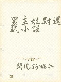 男主姓尉迟的总裁小说