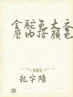 金驼色大衣配什么内搭颜色好看