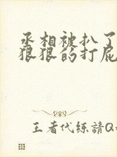 丞相被扒了内裤狠狠的打屁股第章