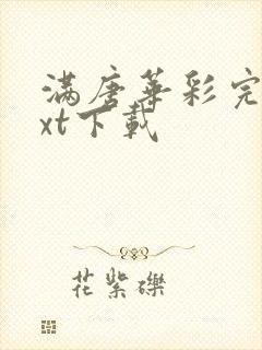 满唐华彩完本txt下载