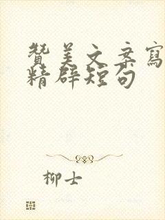 赞美文案写的好精辟短句