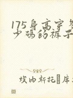 175身高穿多少码的裤子