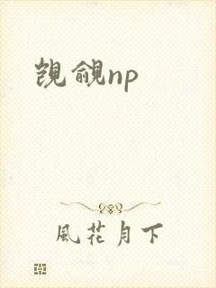 觊觎np