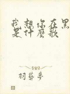 我想你在黑夜里是什么歌