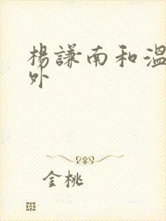 杨谦南和温凛番外