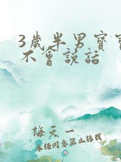 3岁半男宝宝还不会说话