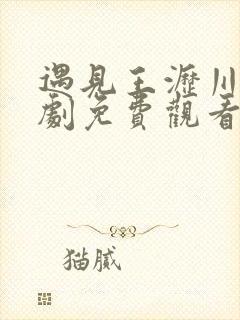 遇见王沥川电视剧免费观看全集云播