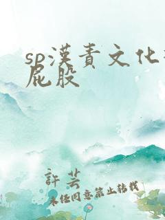sp汉责文化打屁股