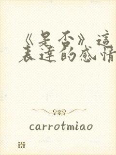 《是否》这首歌表达的感情