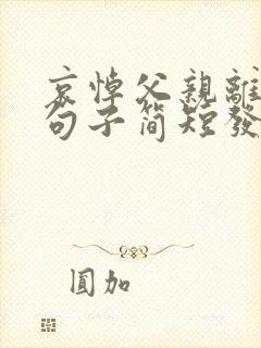 哀悼父亲离世的句子简短发朋友圈