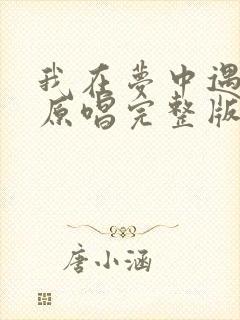 我在梦中遇见你原唱完整版