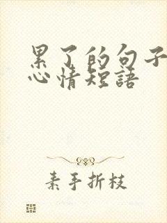 累了的句子说说心情短语