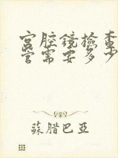 宫腔镜检查输卵管需要多少钱