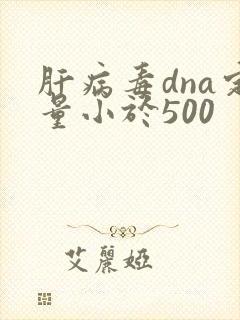 肝病毒dna定量小于500