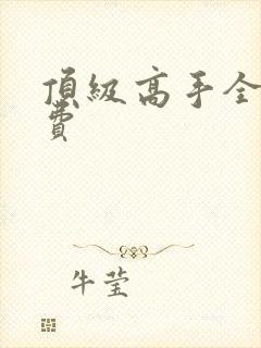 顶级高手全文免费