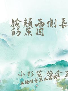 脸颊两侧长黑斑的原因