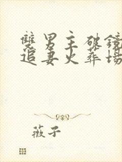 双男主破镜重圆追妻火葬场