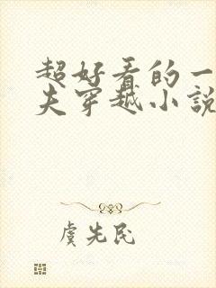 超好看的一女多夫穿越小说