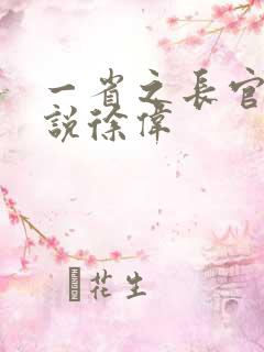 一省之长官场小说徐伟