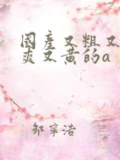 国产又粗又猛又爽又黄的a