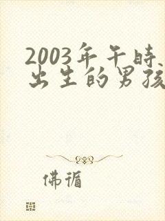 2003年午时出生的男孩命运