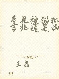 梦见被猫抓了是吉兆还是凶兆