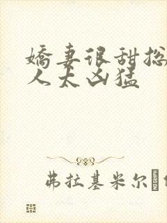 娇妻很甜总裁大人太凶猛