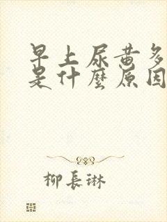 早上尿黄多泡沫是什么原因