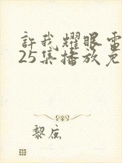 许我耀眼电视剧25集播放免费观看