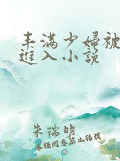 丰满少妇被猛烈进入小说