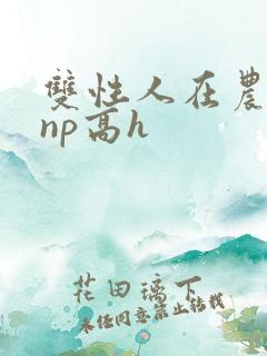 双性人在农村被np高h