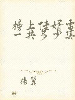 榜上佳婿电视剧一共多少集