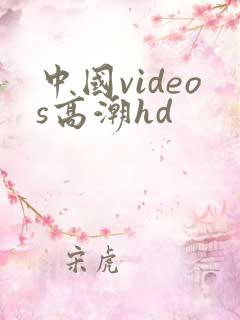 中国videos高潮hd