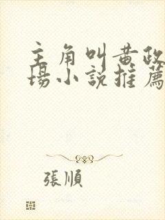 主角叫黄政的官场小说推荐