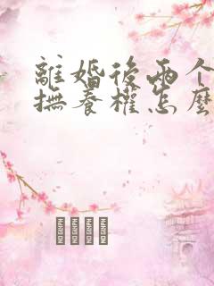 离婚后两个孩子抚养权怎么分