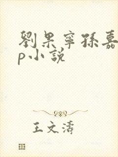 刘果宁孙嘉遇cp小说