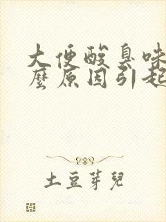 大便酸臭味是什么原因引起的